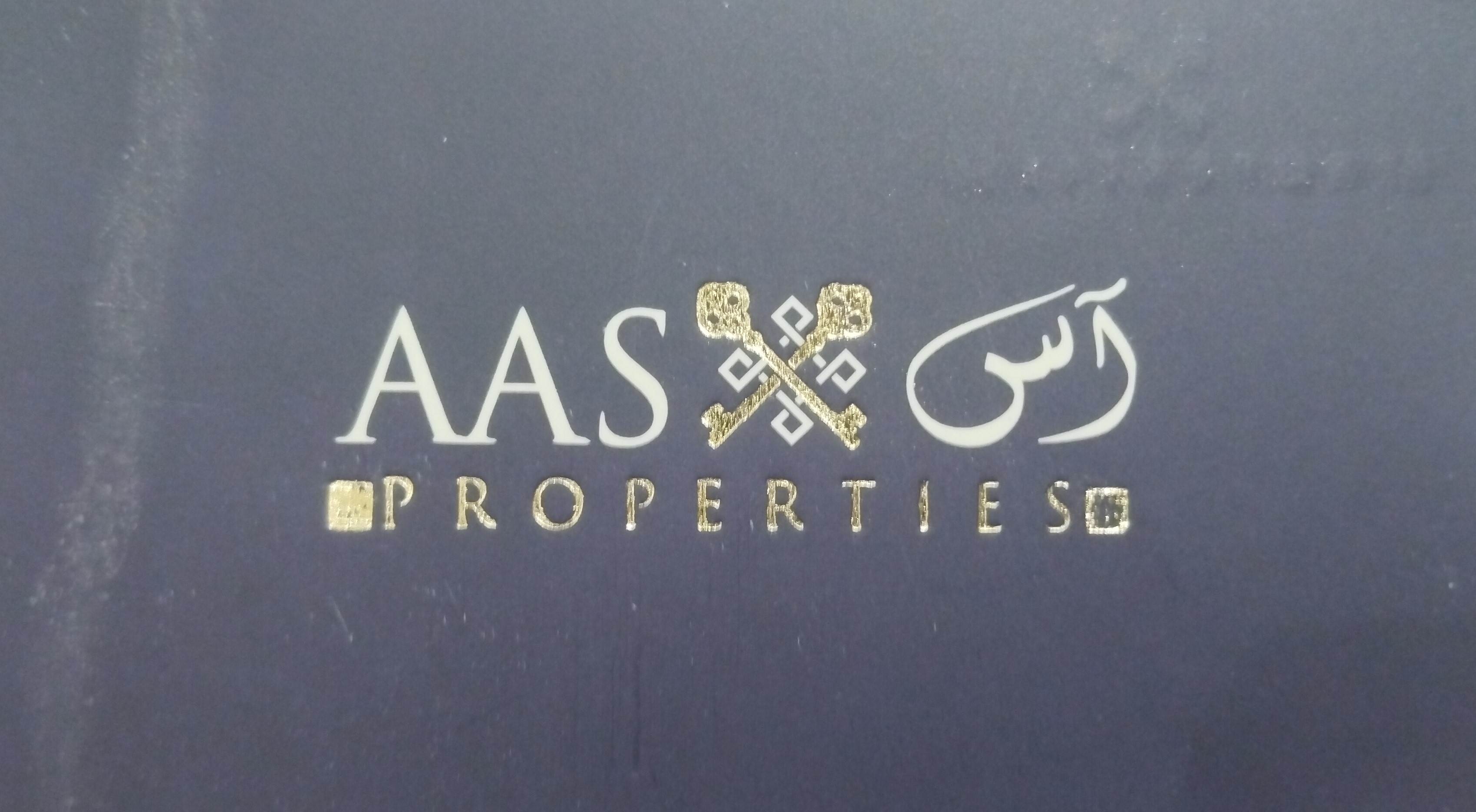 AAS PROPERTY LAKE CITY